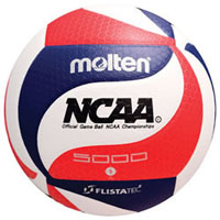 molten volleyball