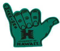 hawaii-foam-finger